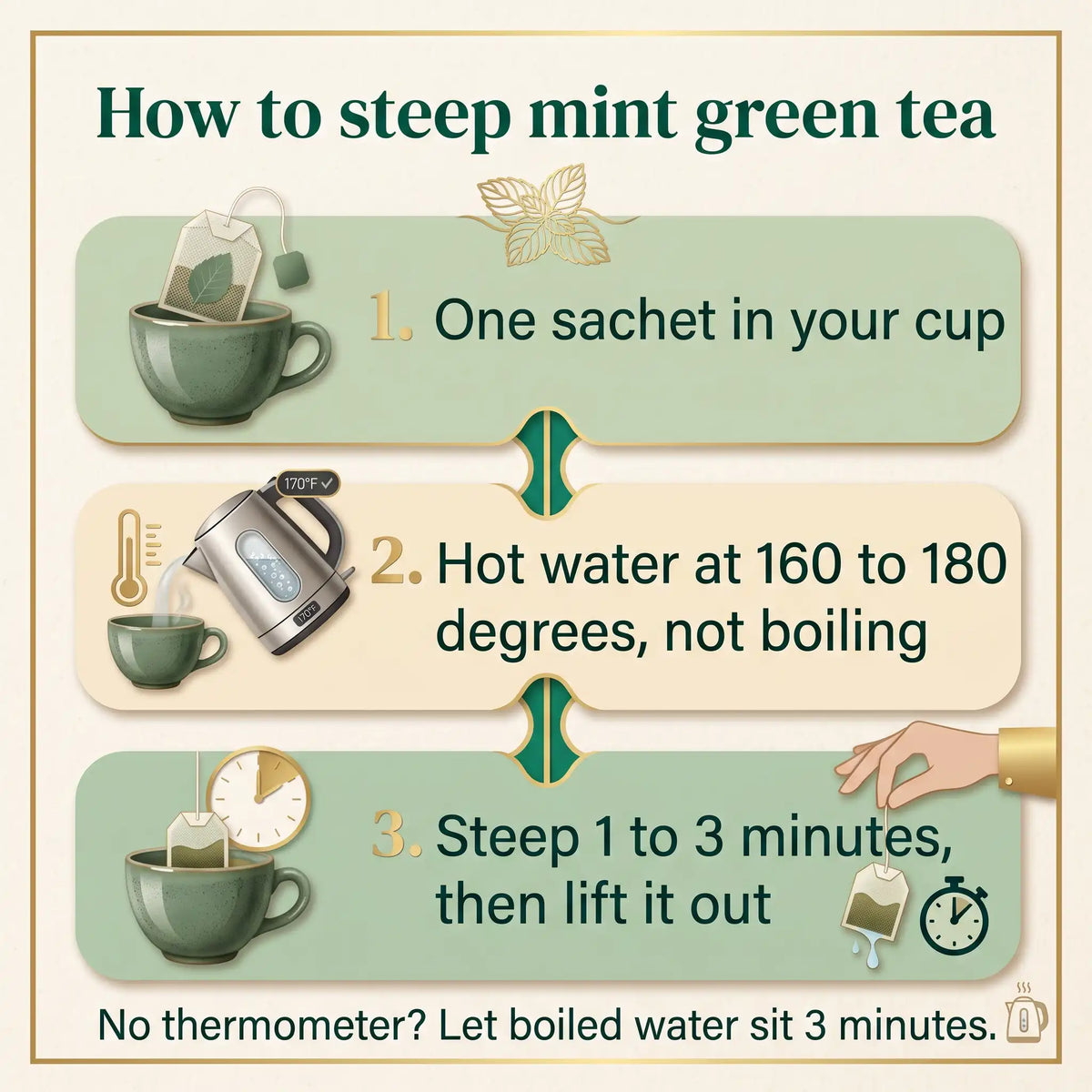 3 step guide to steeping mint green tea: one sachet, water at 160 to 180 degrees, steep 1 to 3 minutes